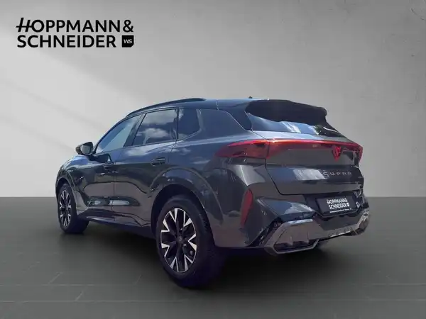 CUPRA TERRAMAR (3/19)