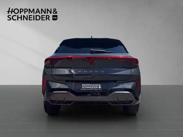 CUPRA TERRAMAR (4/19)