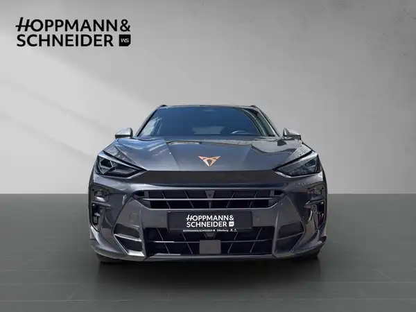 CUPRA TERRAMAR (8/19)