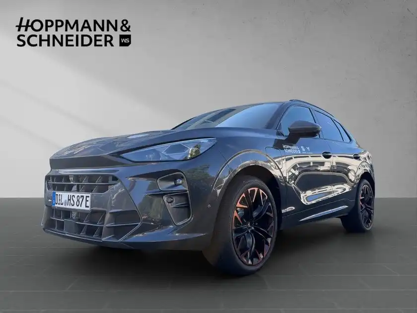 CUPRA TERRAMAR (1/26)