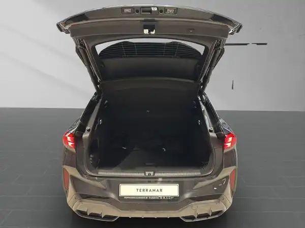CUPRA TERRAMAR (15/18)