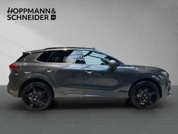 Das Bild zeigt einen grauen CUPRA TERRAMAR von der Seite. Oben links ist das Händlerlogo 'HOPPMANN & SCHNEIDER' eingeblendet.