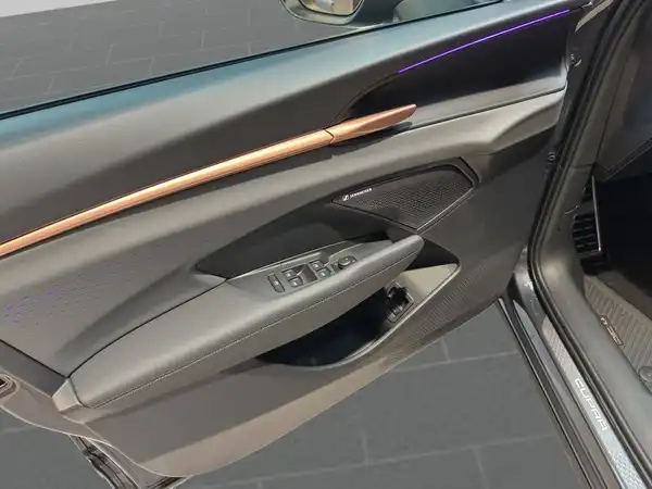 Innenaufnahme des Fahrzeugs, zeigt die Türverkleidung mit schwarzem Interieur.