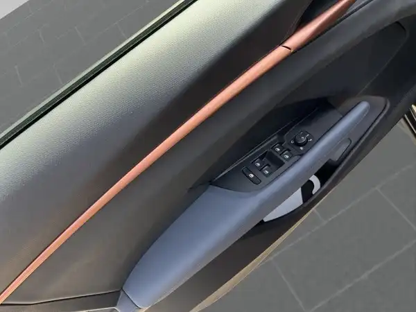 Das Bild zeigt die Innenansicht der Tür eines CUPRA TERRAMAR. Die Türverkleidung ist schwarz mit goldenen Akzenten.