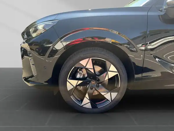 CUPRA TERRAMAR (16/17)