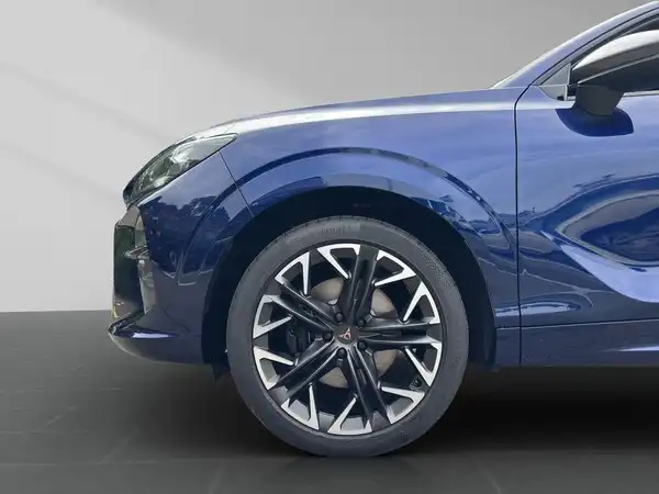 CUPRA TERRAMAR (18/20)