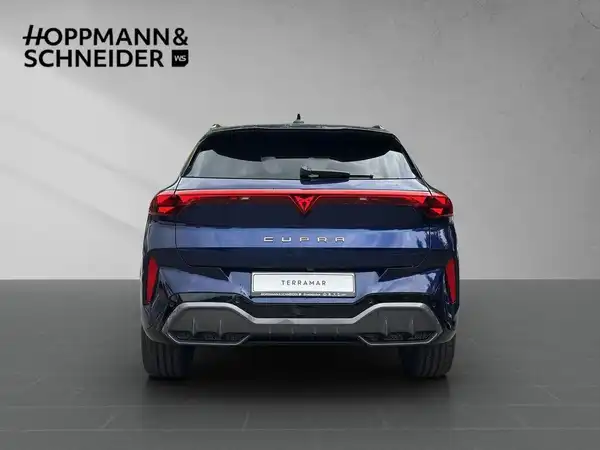 CUPRA TERRAMAR (4/20)