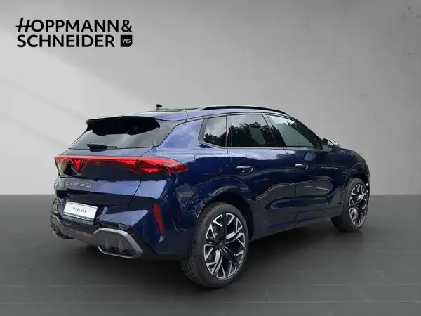 CUPRA TERRAMAR (5/20)