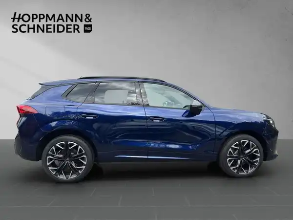 CUPRA TERRAMAR (6/20)