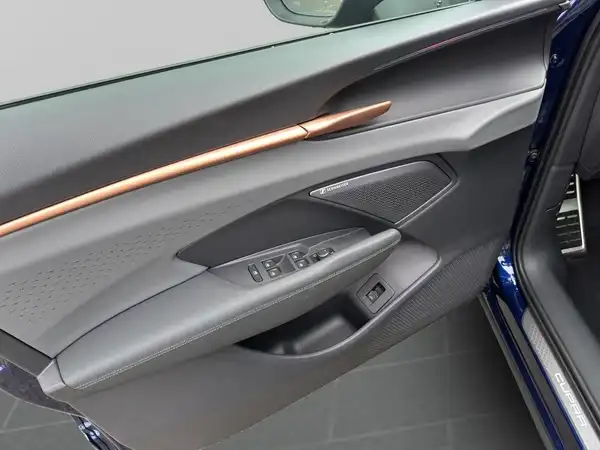 CUPRA TERRAMAR (9/20)