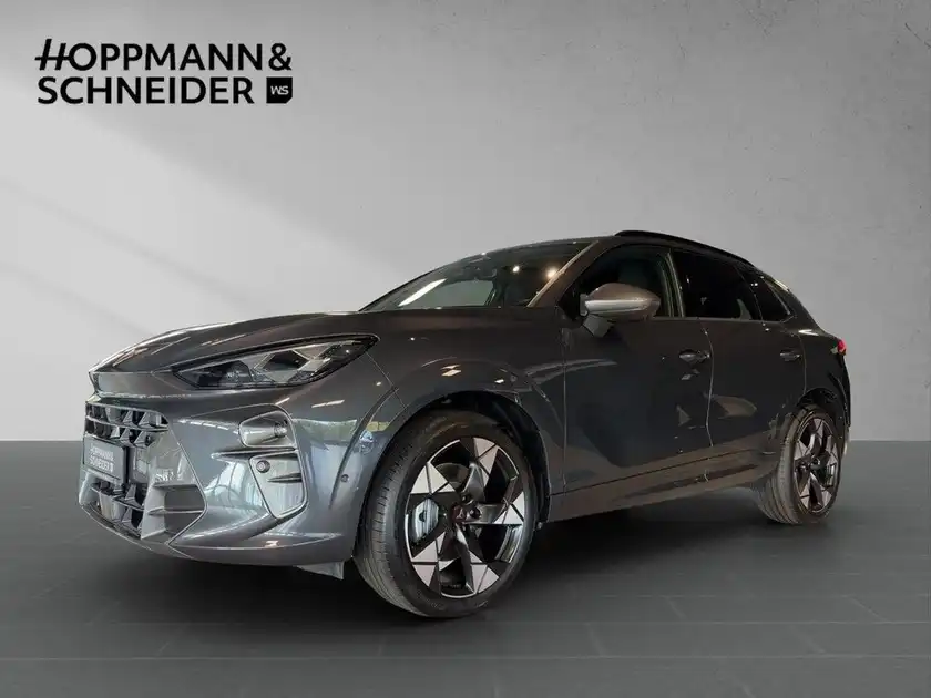 CUPRA TERRAMAR (1/26)
