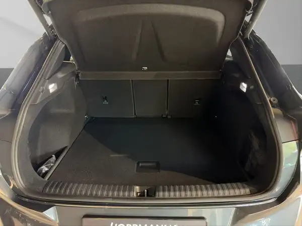CUPRA TERRAMAR (18/26)