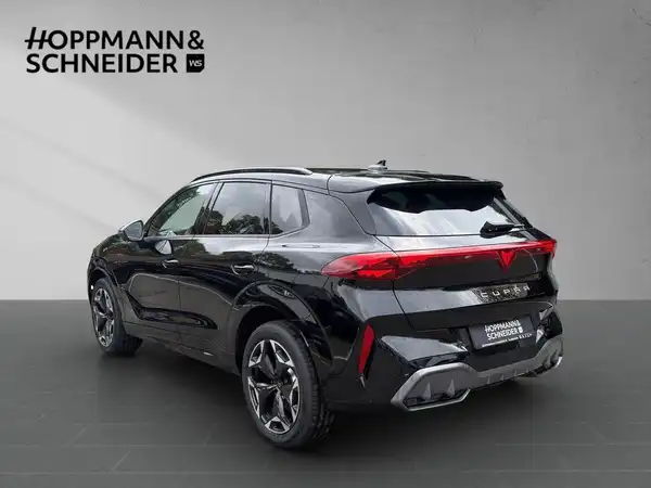 CUPRA TERRAMAR (2/19)