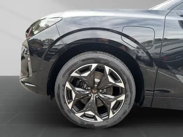 CUPRA TERRAMAR (15/19)