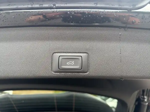 CUPRA TERRAMAR (17/19)