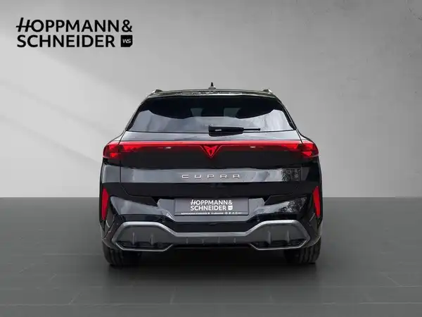 CUPRA TERRAMAR (3/19)