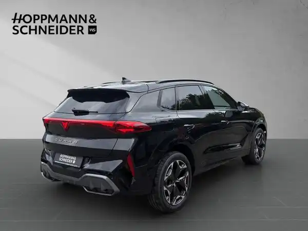 CUPRA TERRAMAR (4/19)