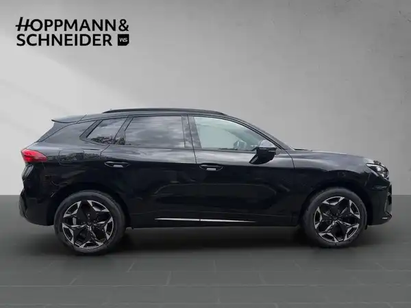 CUPRA TERRAMAR (5/19)