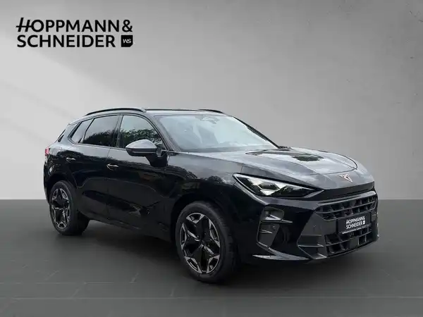 CUPRA TERRAMAR (6/19)