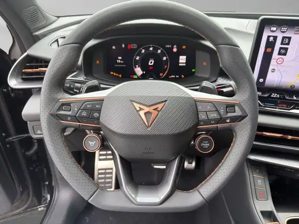 CUPRA TERRAMAR (9/19)