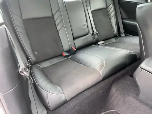 DODGE CHALLENGER HELLCAT WIDEBODY (12/15)