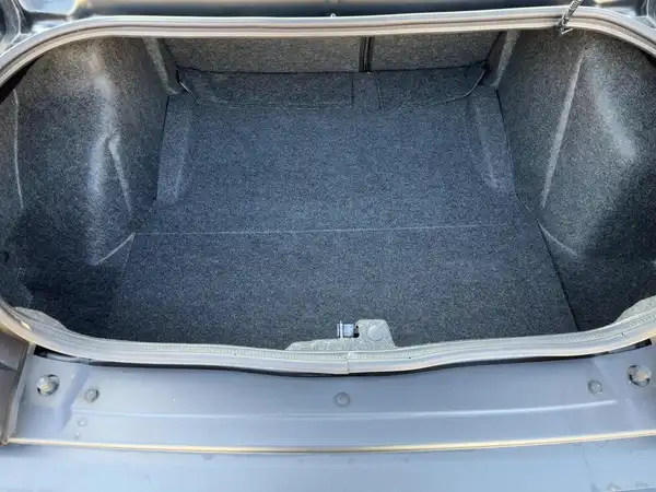 DODGE CHALLENGER HELLCAT WIDEBODY (13/15)