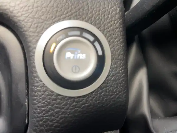 DODGE RAM (14/15)