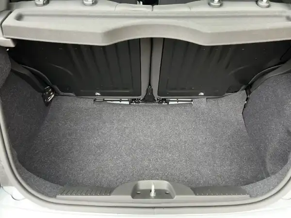 FIAT 500 (13/15)