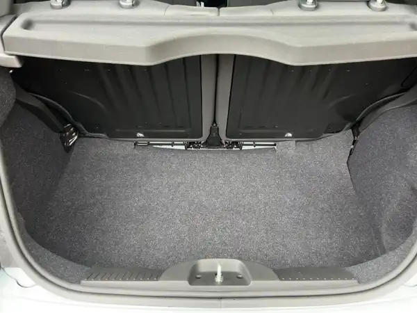 FIAT 500 (13/15)