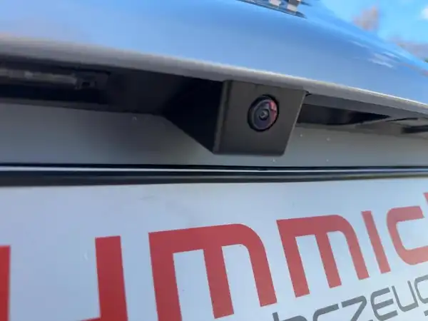 FIAT 500 (14/15)