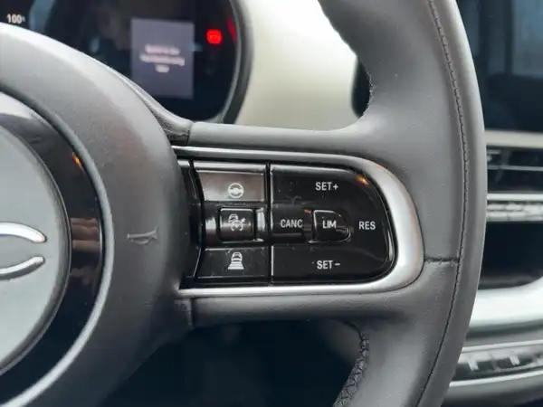 FIAT 500E (14/15)