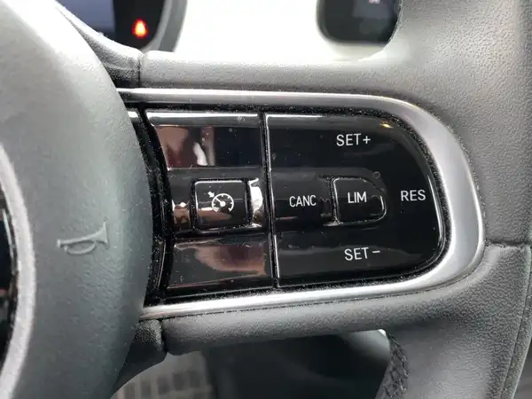 FIAT 500E (14/15)