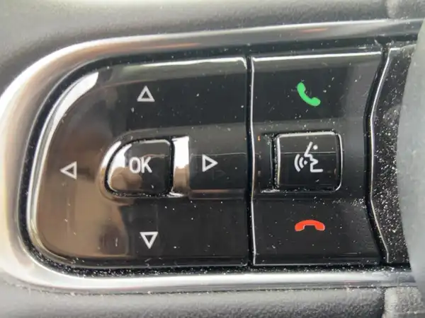 FIAT 500E (14/15)