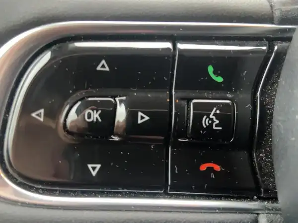 FIAT 500E (14/15)