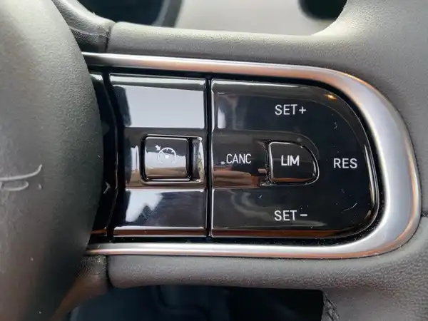 FIAT 500E (14/15)