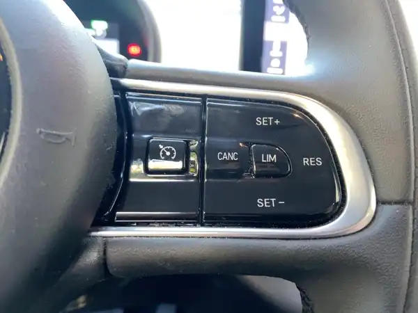 FIAT 500E (14/15)