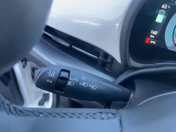 FIAT 500E (14/15)