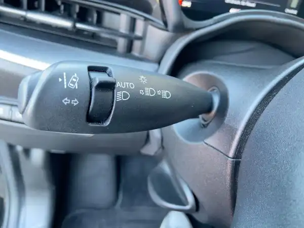 FIAT 500E (8/15)