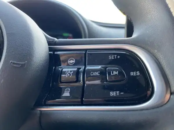 FIAT 500E (14/15)