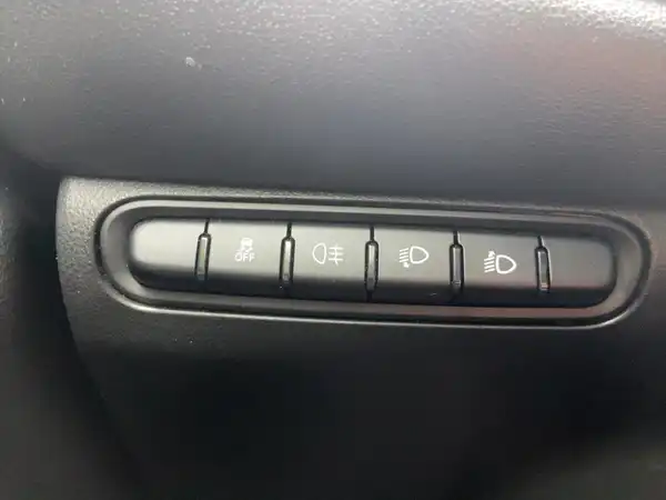 FIAT 500E (14/15)