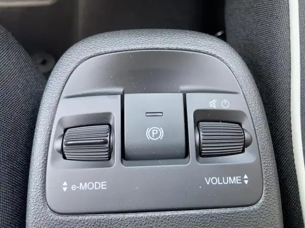 FIAT 500E (11/13)