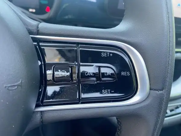 FIAT 500E (7/15)