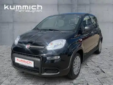 FIAT PANDA (1/13)