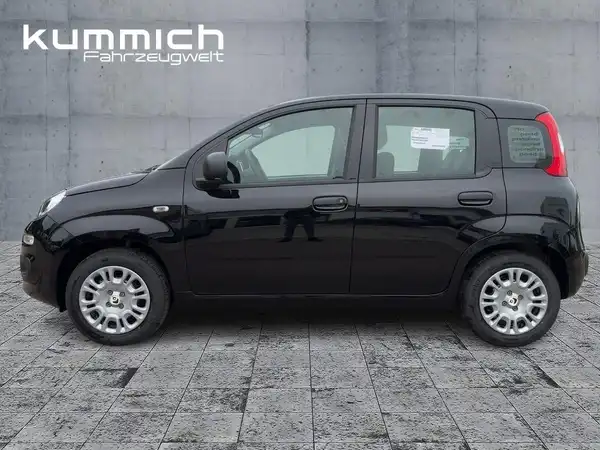 FIAT PANDA (6/15)