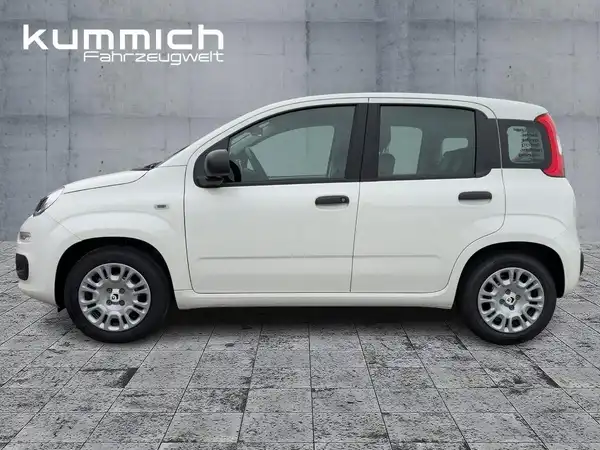FIAT PANDA (6/15)