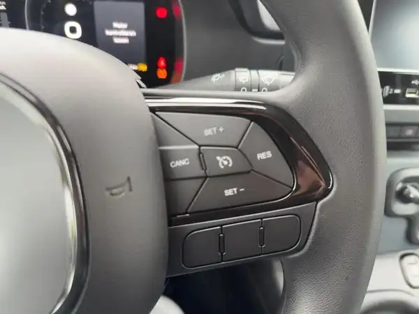 FIAT PANDA (14/15)
