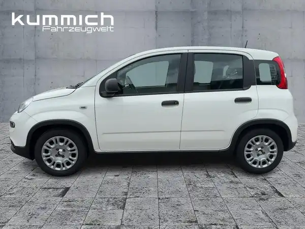 FIAT PANDA (6/15)