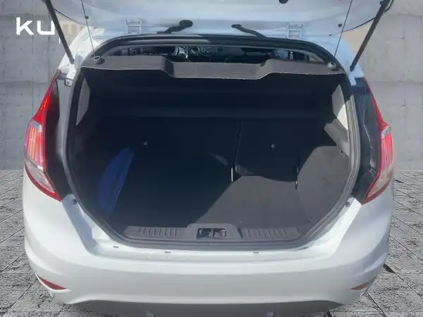 FORD FIESTA (13/15)