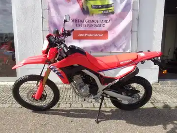 HONDA CRF300L (1/7)