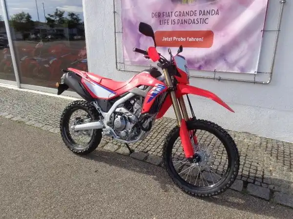HONDA CRF300L (6/7)